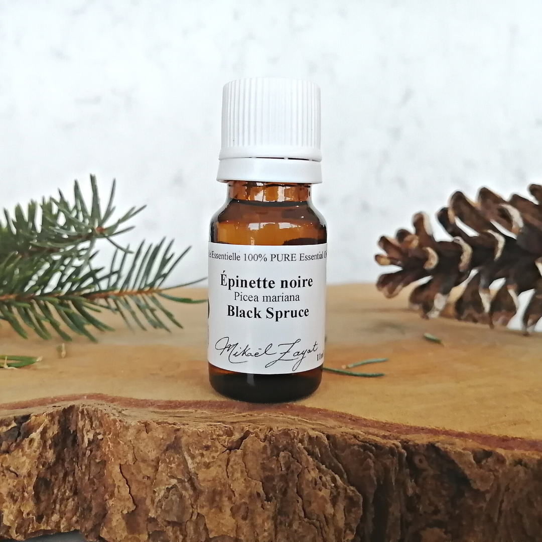 Déodorant 60g - Épinette noire